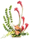 Touch of Tropics Arrangement from Arthur Pfeil Smart Flowers in San Antonio, TX